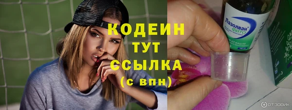 мдпв Михайлов