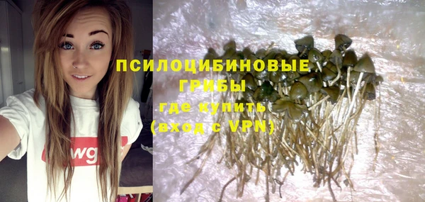 мдпв Михайлов