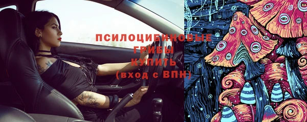 мдпв Михайлов