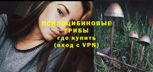 мдпв Михайлов